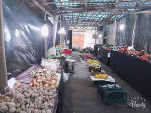 میوه فروشی طارم