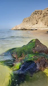 ساحل بندر مقام