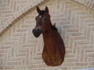 کاروانسرای شاه عباسی میبد