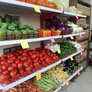 مواد غدایی رویانیان