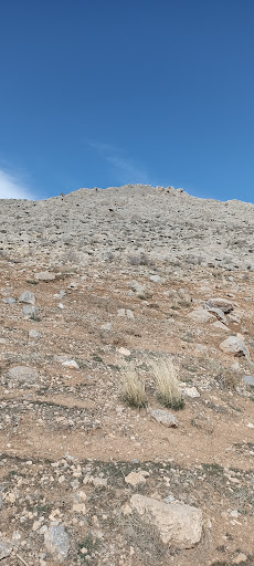 اداره کل منابع طبیعی و آبخیزداری استان لرستان