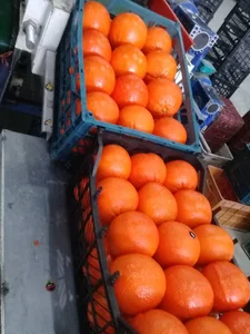 برنج اشرف( بازرگانی اشرف )