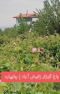 باغ گوزلر چایپاره روستای فیض آباد