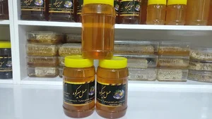عسل میرکوه شعبه 2