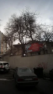باشگاه اسپین