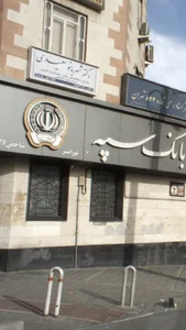 دکتر شهربانو سعیدی 2