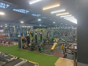 Meshkat Complex