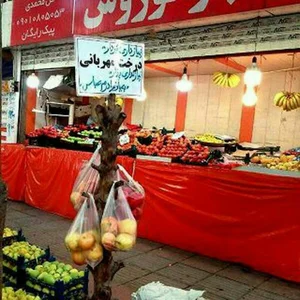 میوه کوروش بجنورد