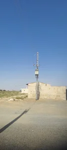 گلخانه کربلایی حسین رئیسیان