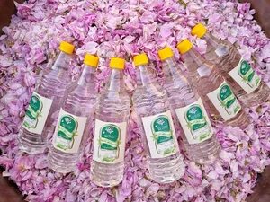 عرقیات گیاهی خانگی چک چک