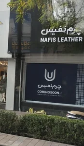 چرم درسا 2