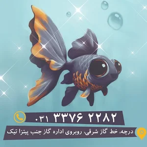 مرغ و ماهی ساحل