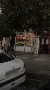 مرغ زربال 4
