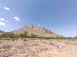 توتستان