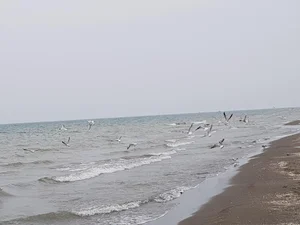 ساحل چابکسر