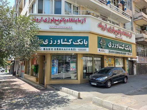 بانک کشاورزی