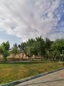 پارک الماسی 5
