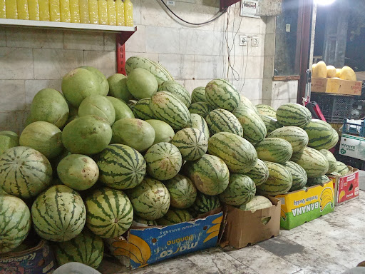 مهدی مقدم و محمد مقدم