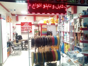 الکتروویژن