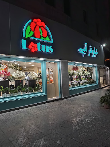 گل فروشي نيلوفرآبي