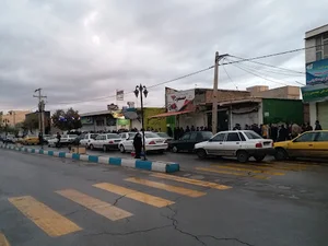 پزندگی نمونه حیدری