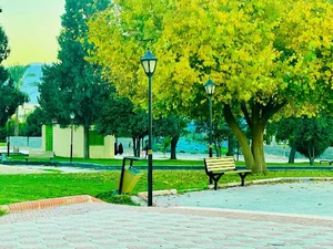 بوستان مردانی