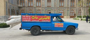 ورودی غربی کاخ گلستان