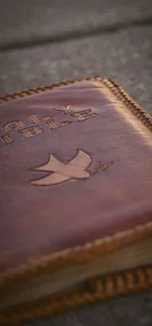 چرم دالیا