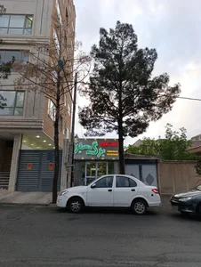 فست فود برگ سبز