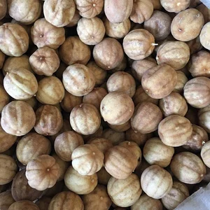 دفتر بازرگانی عمده گیاهان دارویی همتی