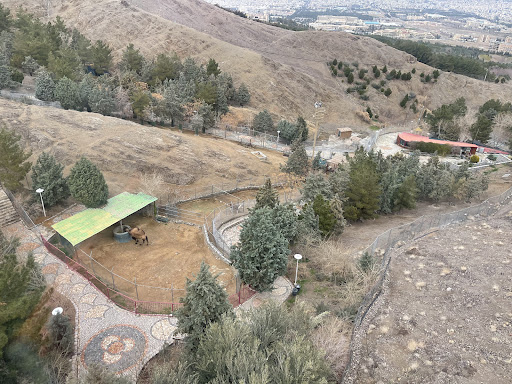 پارک وحش صفه