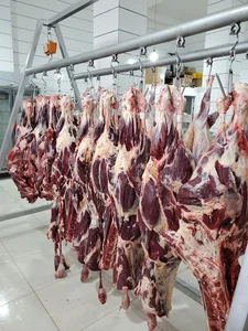 گوشت و پروتیین سارال میت