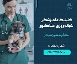 کلینیک دامپزشکی ساراسا پت ( کلینیک دکتر سینا شعبه دوم)