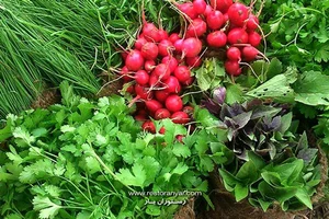 محصولات خانگی مامان فری