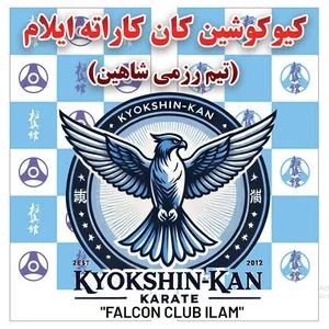 باشگاه کیوکوشین کان شاهین 2