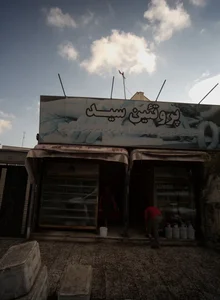 پروتئین سید 2