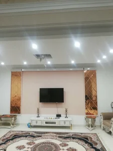 علیرضا مقصودلو 3