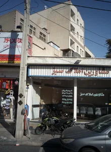 مشاورین املاک سبز 2
