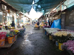 گلفروشی گلسرخ مراغه