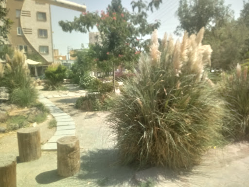 شاهرود خیابان پیشوا