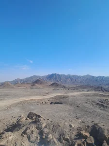 پناهگاه حیات وحش دره انجیر