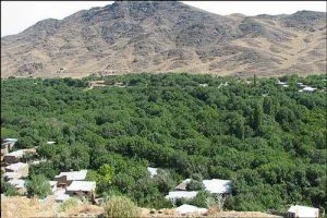 باشگاه بزرگ بدنسازیپژمان آکادمی رشد و توسعه ورزشی