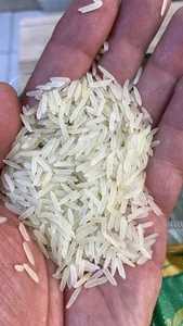 برنج عمده ایرانی و خارجی