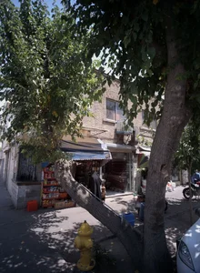 فرش فروشی