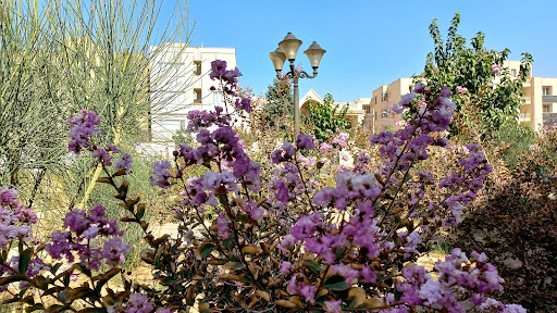 بوستان صنایع دستی
