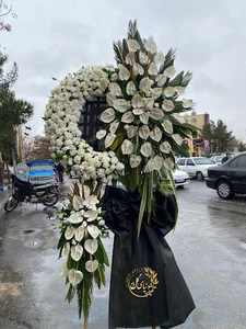 دنیای گل
