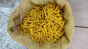 عطاری ارگانو 2