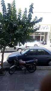 اتو گالری عصر انتظار