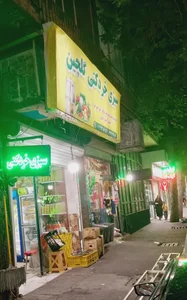 سبزی خردکنی گلچین 2