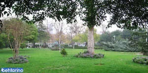 پارک بابا قدرت 5
